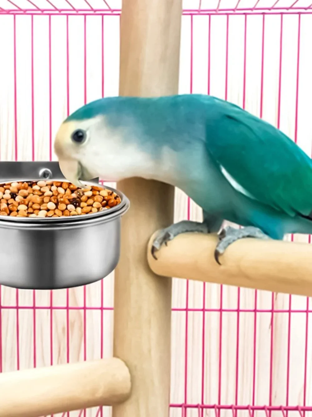 3 Pack Bird Feeding Bowls Cups Parrot Food Water Dishes, Stainless Steel Bird Bo